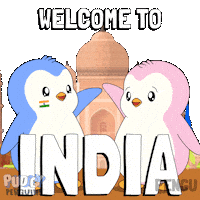 Travel Penguin Sticker by Pudgy Penguins