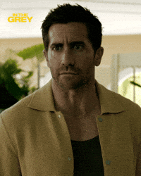 Shocked Oh No GIF by Black Bear Pics