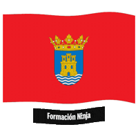 Comunidad De Madrid Flag Sticker by Formación Ninja