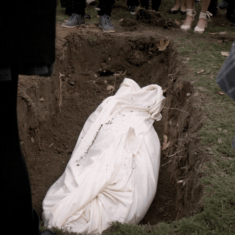 thesociety giphyupload GIF