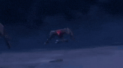 Sonic The Hedgehog Fight GIF