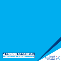 GIF by The Scottish Conservatives