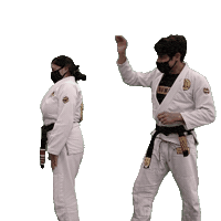 Bjj Jiujitsu Sticker by ghbrownsville