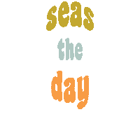 Get It Seize The Day Sticker by Cass Cleave