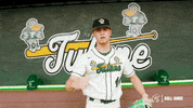 College Baseball Tyler GIF by GreenWave