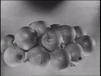 Onions Casserole GIF by US National Archives