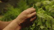 mars GIF by National Geographic Channel