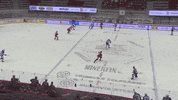 hcocelaricz hockey ice hockey pad trinec GIF