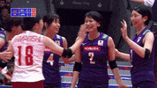 Happy United GIF by Volleyball World