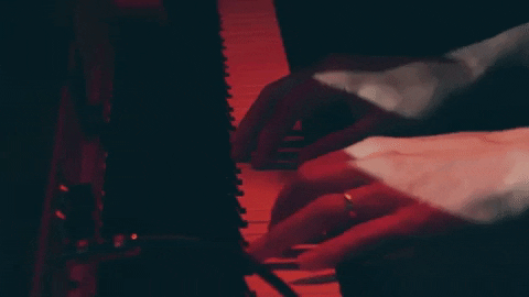 polyvinylrecords giphygifmaker piano keyboard live music GIF