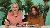 I Didn't Hurt Myself