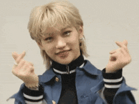 Stray Kids Skz GIF