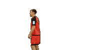 Handball Dragon Sticker by HCCA