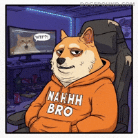 Cat No GIF by Doge Pound