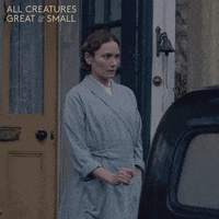 allcreaturestv animals eyes gesture head nod GIF