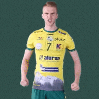 Victory Win GIF by Aluron CMC Warta Zawiercie