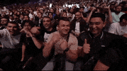 Mixed Martial Arts Sport GIF by UFC