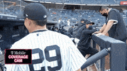 Happy New York Yankees GIF by Jomboy Media