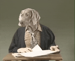 William Wegman Dog GIF by Jason Clarke