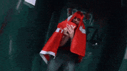 freestefanos stefanos free stefanos freestefanos tefanos GIF