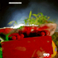 Bushbaby GIF by The Masked Singer UK