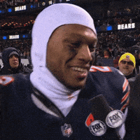 Chicago Bears Football GIF