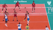 Celebration GIF by Volleyball World