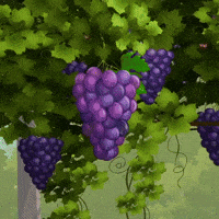 floresdacunha flores da uva grape GIF