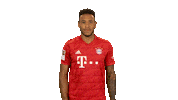 Swipe Up Fc Bayern Sticker by Bundesliga
