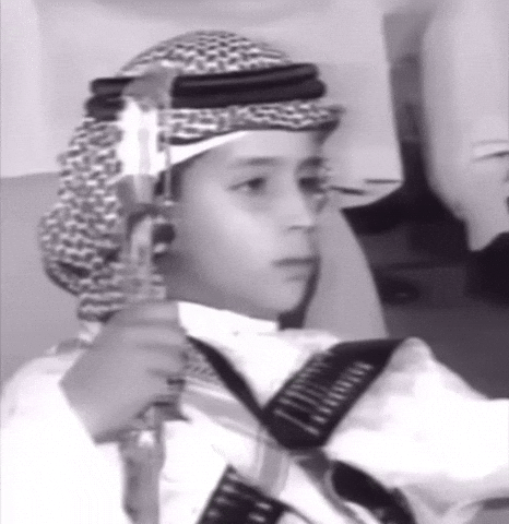 Crown Prince Saudi GIF