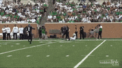 Go Wildcats GIF by ACU Football