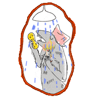 Soda Lorenzo Sticker by Cascara Cabinet