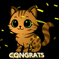 Cat GIF
