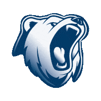 Who Are We International Business Sticker by IB Vision ESB