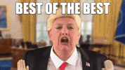 Donald Trump GIF