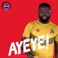 south african soccer GIF