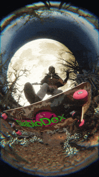 Skate Skateboard GIF
