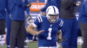 Indianapolis Colts Football GIF by NFL