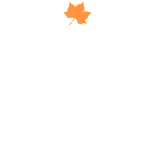 ozkarslioglutarim leaf leaf yaprak Sticker