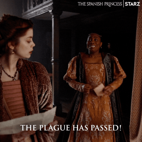King Henry Starz GIF by The Spanish Princess