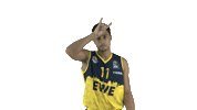 Ewe Baskets Basketball Sticker by EWE Baskets Oldenburg