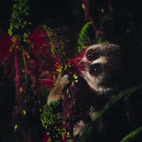 Hungry Baby GIF by NETFLIX