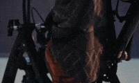 Sean Gu GIF