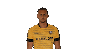 Swipe Celebrate Sticker by SG Dynamo Dresden