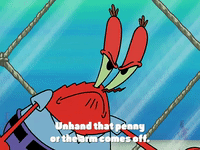 season 3 GIF by SpongeBob SquarePants