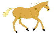 Animated STICKER