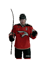 Goal Hockey Sticker by Avangard