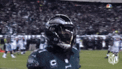philadelphia eagles football GIF by NFL