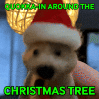 Merry Christmas Quokka GIF