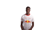 Red Bull Rbl Sticker by RB Leipzig
